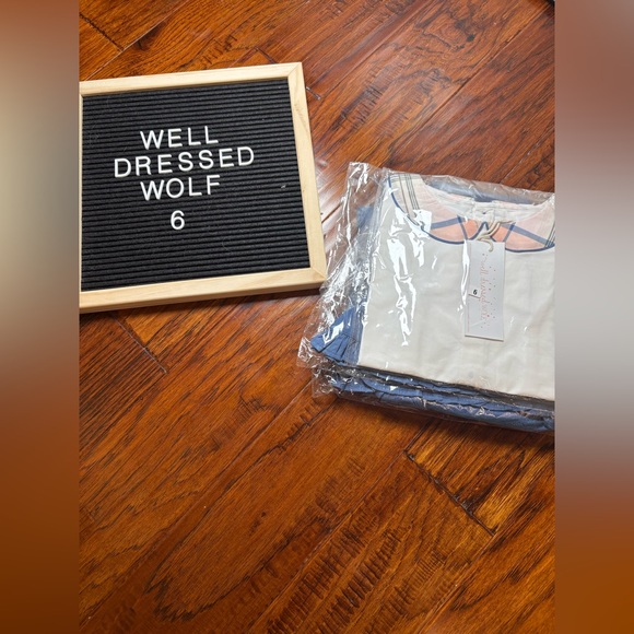 Well Dressed Wolf Blue and Cream Dress Set NIB NWT